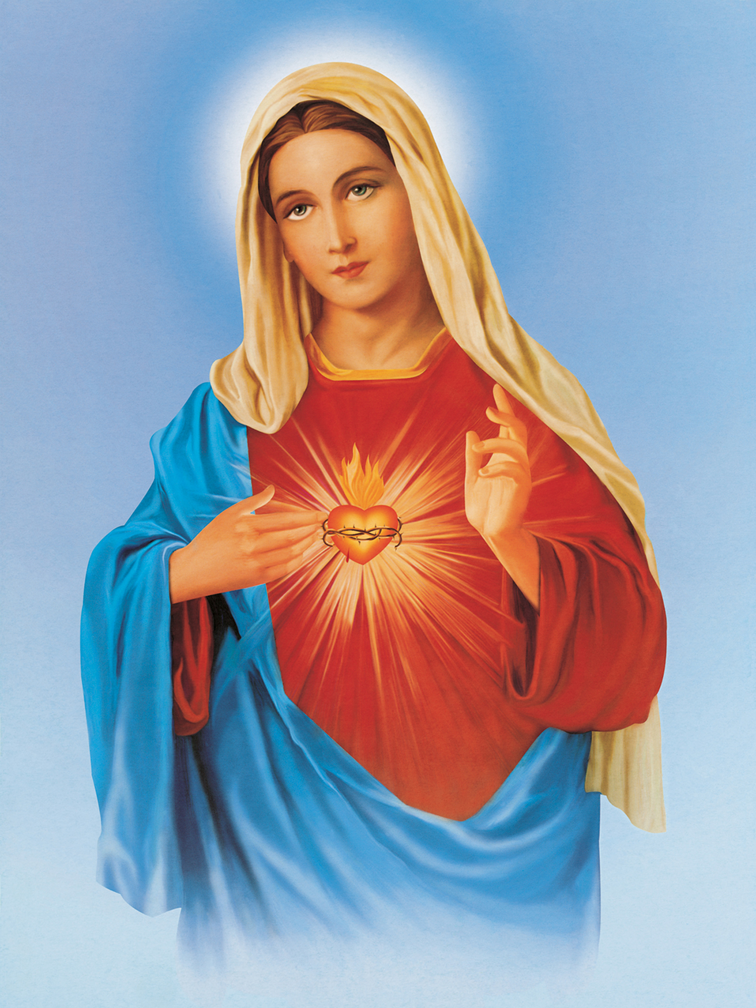 Anhconggiao.com - Trái tim Đức Mẹ